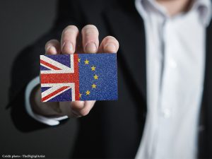 Brexit immatriculation à la TVA anticipée au Royaume Uni