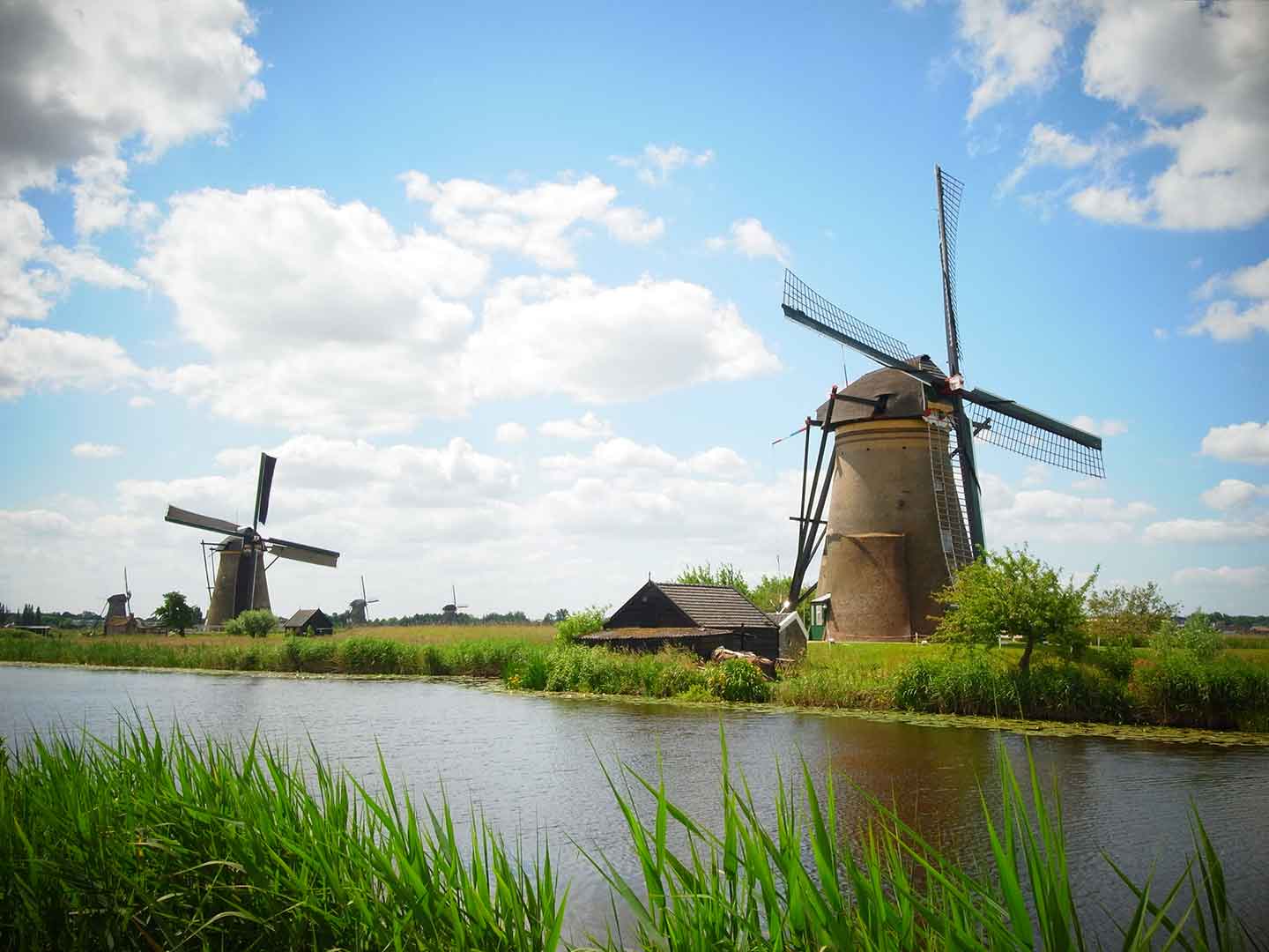 Netherlands - The entry in force of the new definition of the Exporter of Record has been brought forward to 1st October 2020.