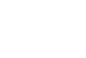 Logo ASD Customs blanc