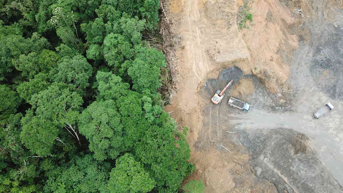 Déforestation : l’Union européenne renforce ses exigences douanières