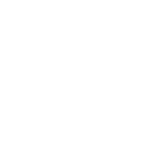 illustration-reseau-mondial-expert