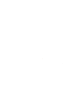 operations-douanieres-dedouanement